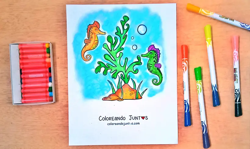Desenho de alga colorida pelo Colorindo Juntos
