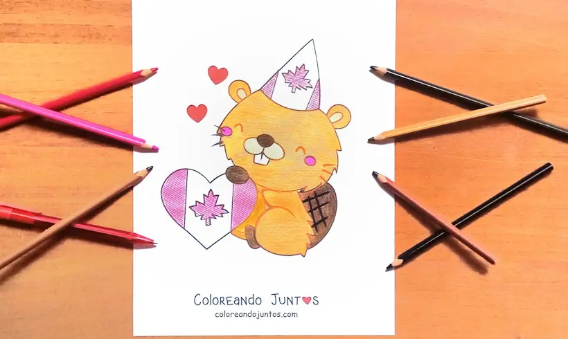 Desenho do Canadá colorido por Colorindo Juntos