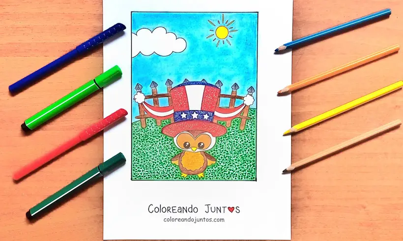Desenho dos Estados Unidos colorido pelo Colorindo Juntos