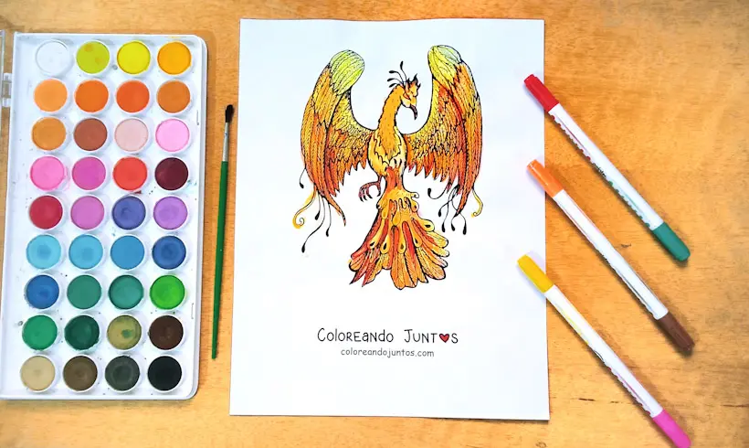 Desenho de uma fenix colorida pelo Colorindo Juntos