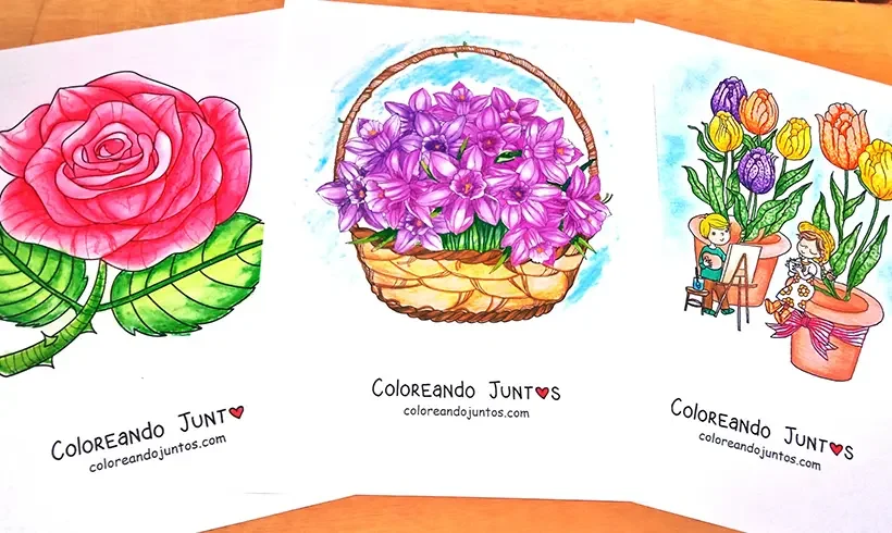 Desenhos de flores coloridos por Colorindo Juntos