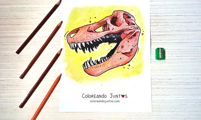 Desenho de fóssil de dinossauro colorido por Colorindo Juntos
