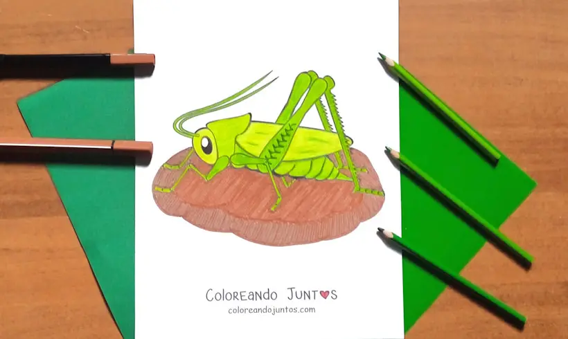 Desenho de um grilo colorido por Colorindo Juntos
