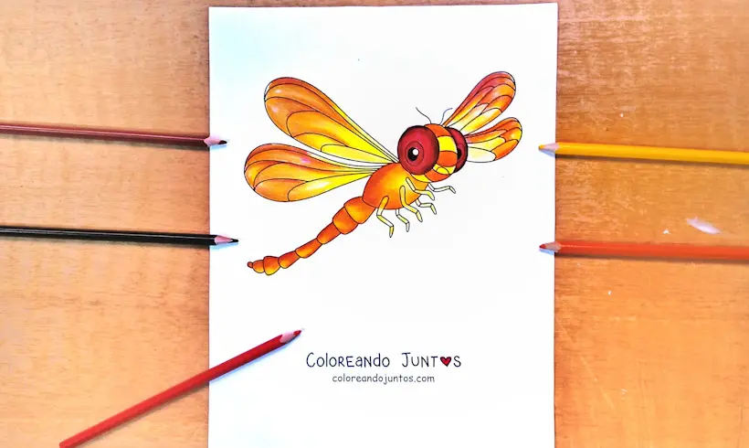 Desenho de uma libélula colorida por Colorindo Juntos