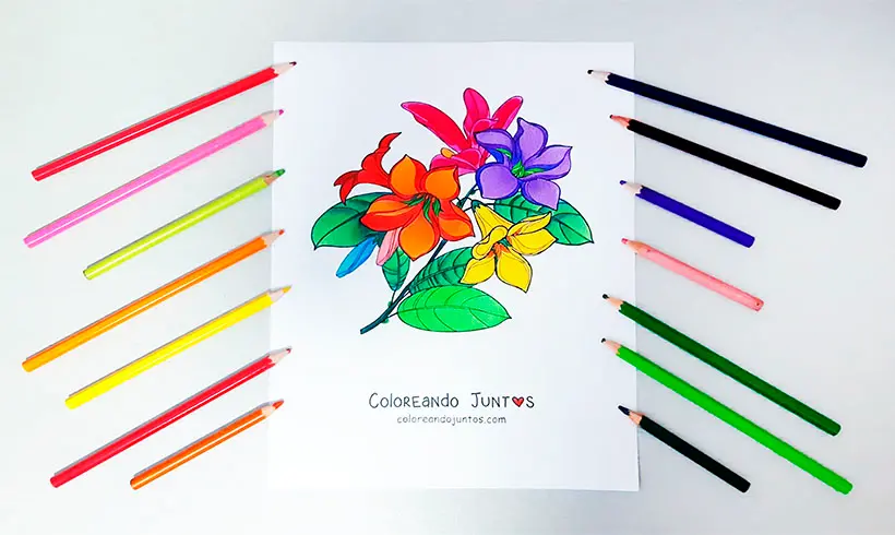 Desenho de lírio colorido por Colorindo Juntos