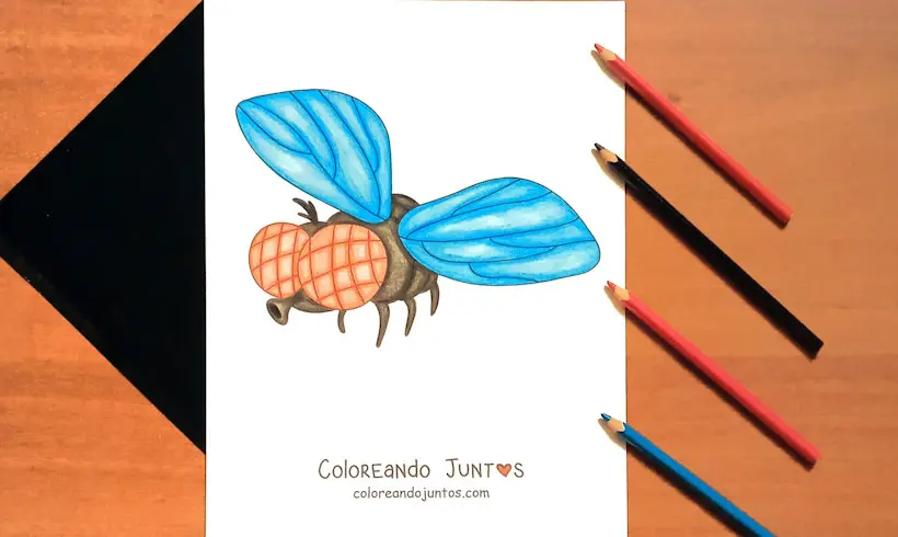 Desenho de uma mosca colorido pela Colorindo Juntos