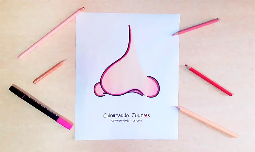 Desenho de nariz colorido por Colorindo Juntos