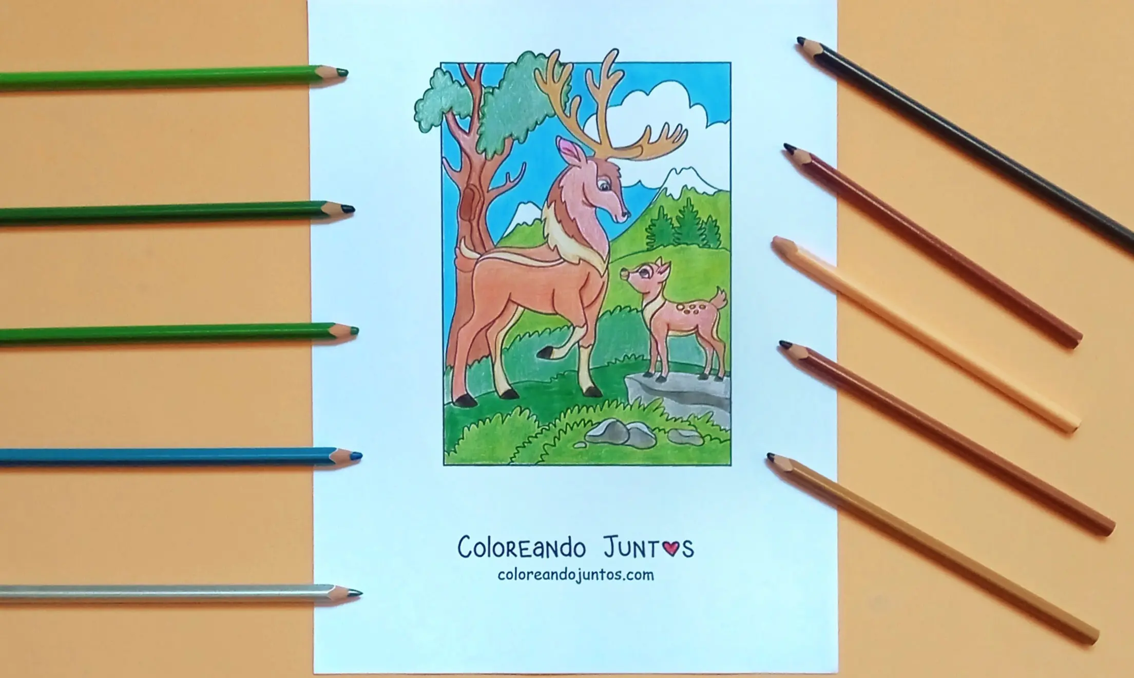 Desenho de natureza kawaii colorido por Colorindo Juntos