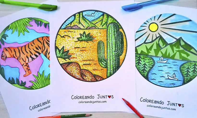 Desenhos da natureza coloridos pelo Colorindo Juntos
