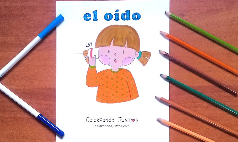 Desenho do sentido da audição colorido por Colorindo Juntos