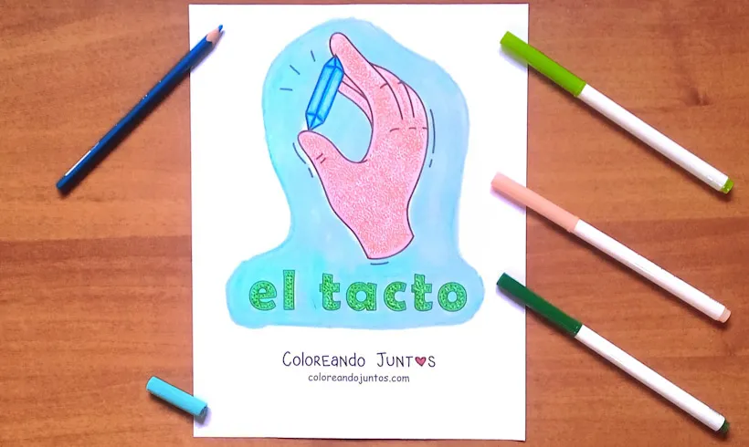 Desenho do sentido do tato colorido pelo Colorindo Juntos