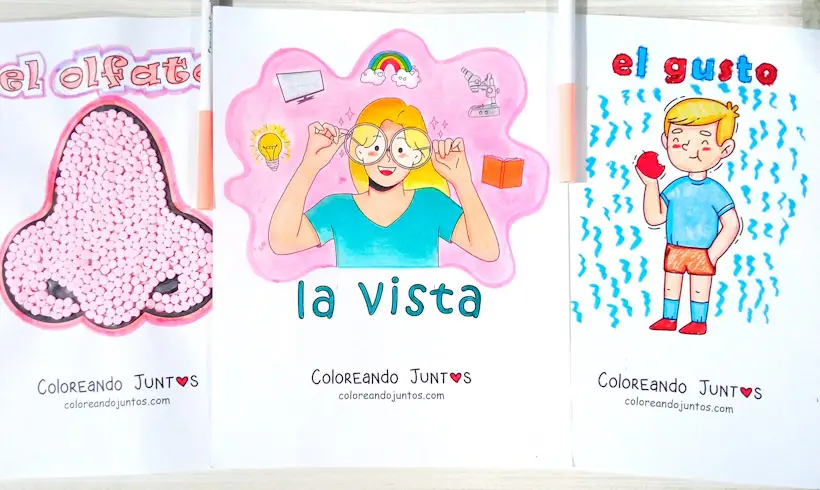 Desenhos dos 5 sentidos coloridos por Colorindo Juntos