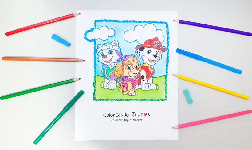 Desenho de Patrulha Canina colorido por Colorindo Juntos