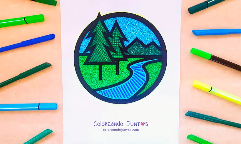 Desenho de pinheiros colorido pela Colorindo Juntos