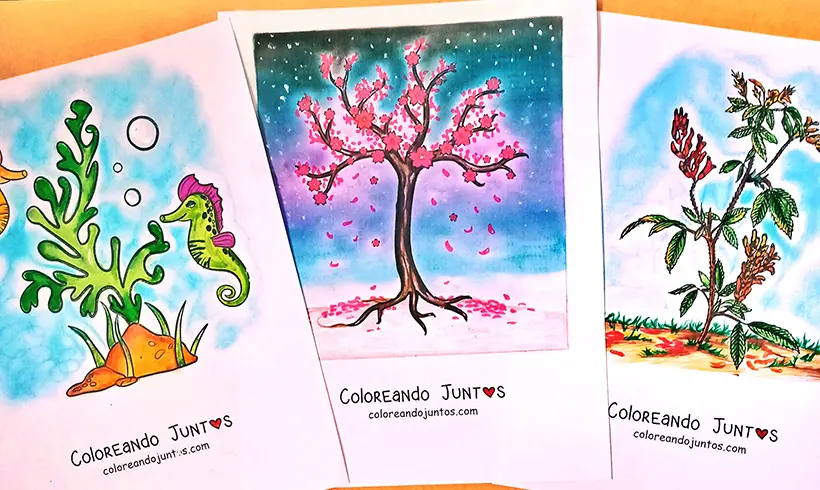 Desenhos de plantas e árvores coloridos pelo Colorindo Juntos