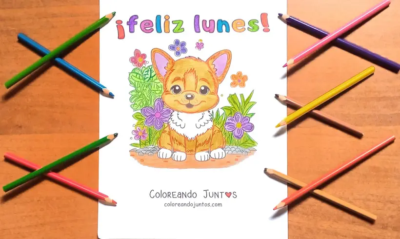 Desenho da segunda-feira colorido por Colorindo Juntos