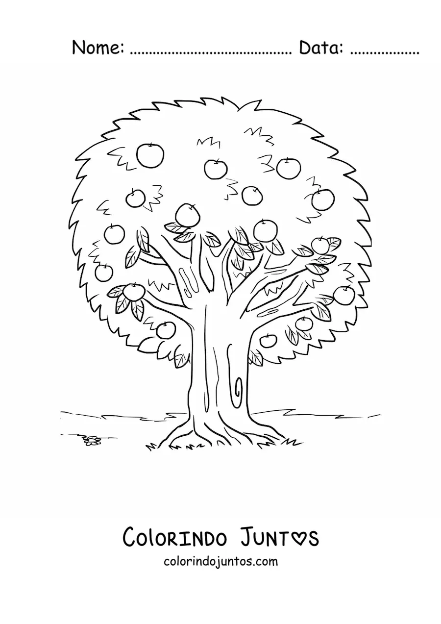 Desenho para colorir de uma macieira com maçãs
