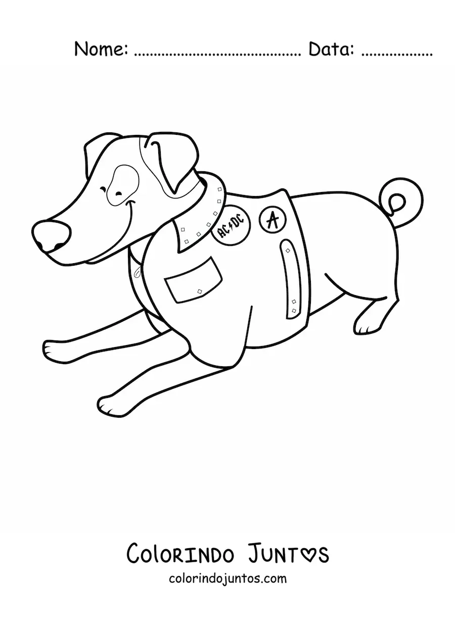 Desenho para colorir de um jack russell terrier deitado usando uma jaqueta