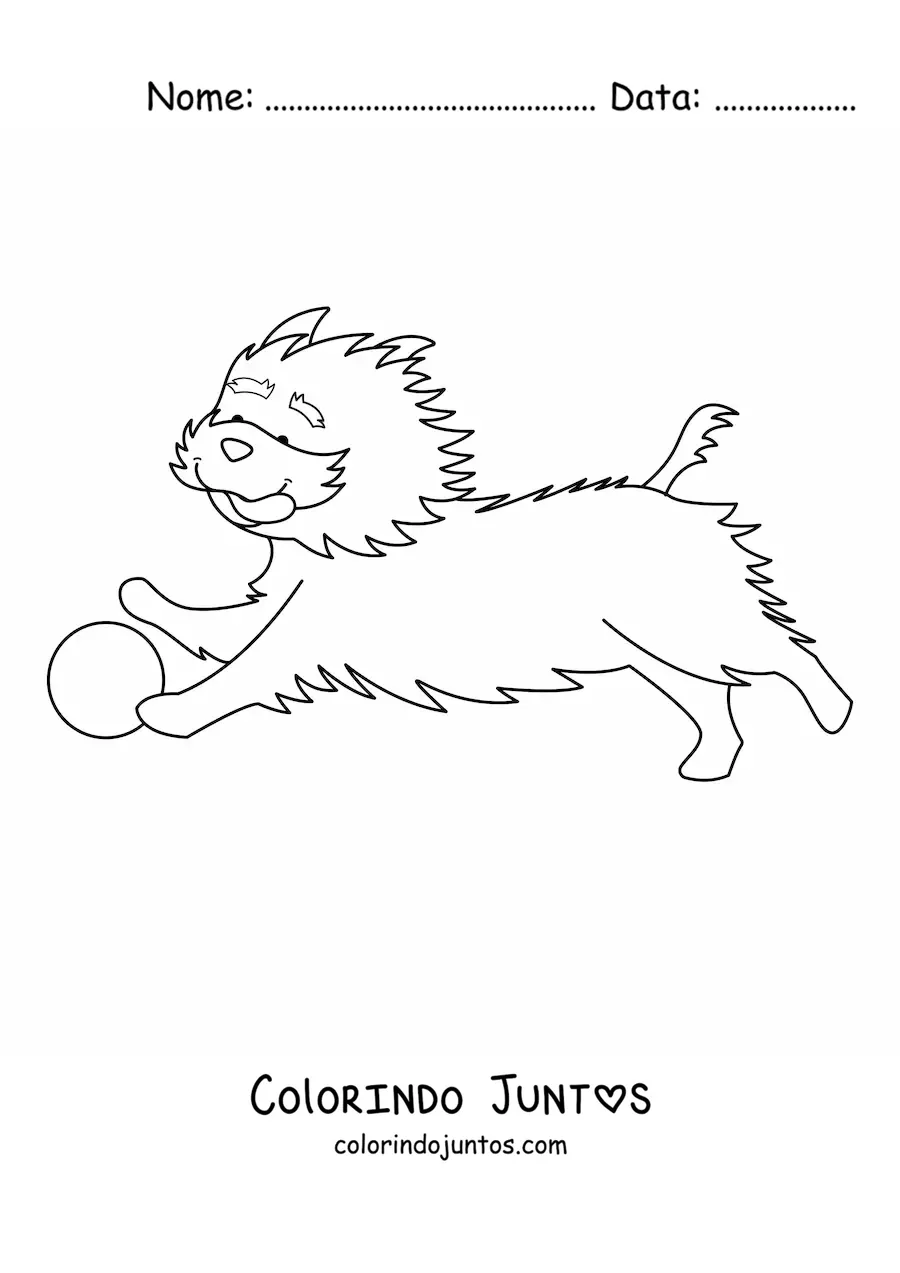 Desenho para colorir de um yorkshire terrier correndo atrás de uma bola
