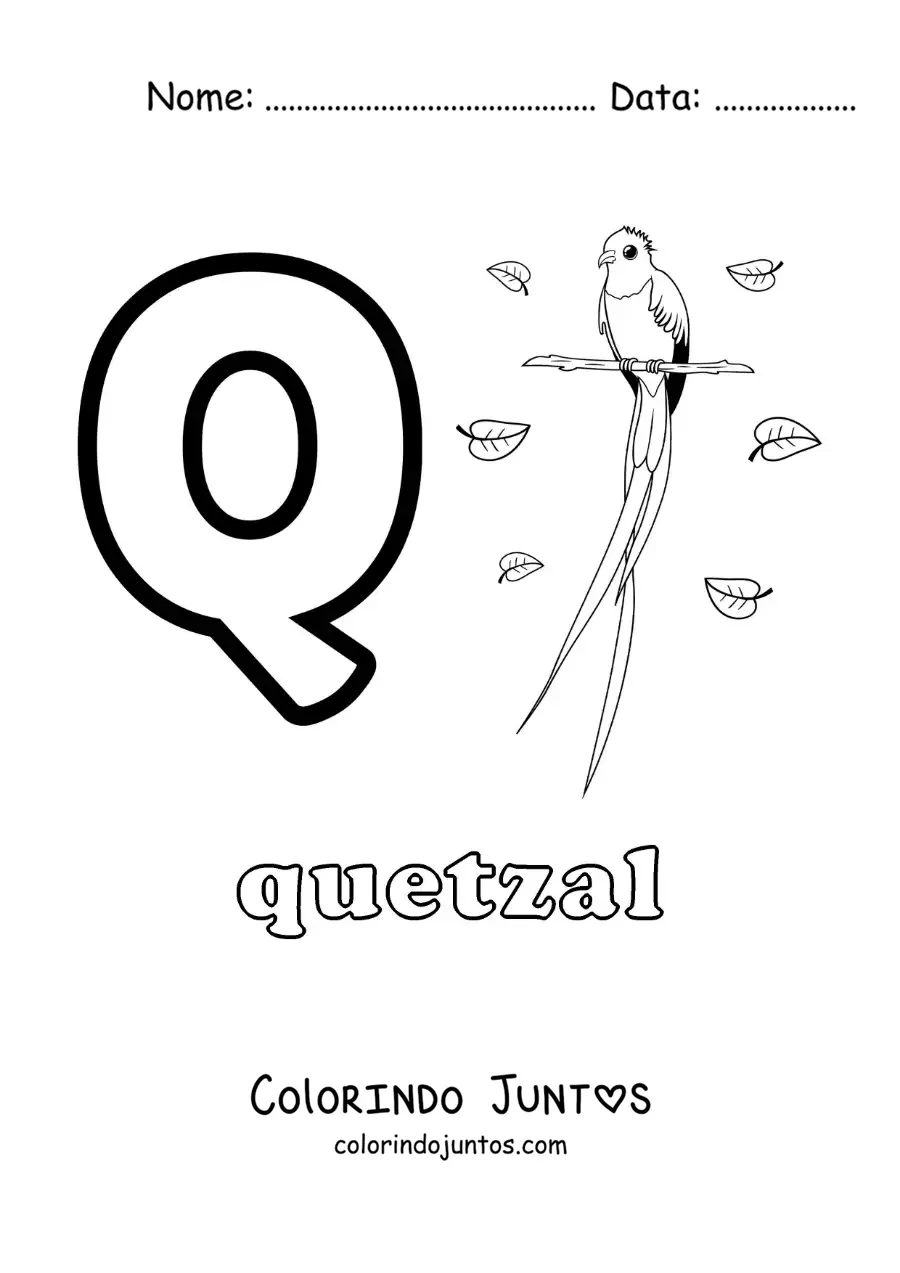 Desenho para colorir da letra Q de quetzal