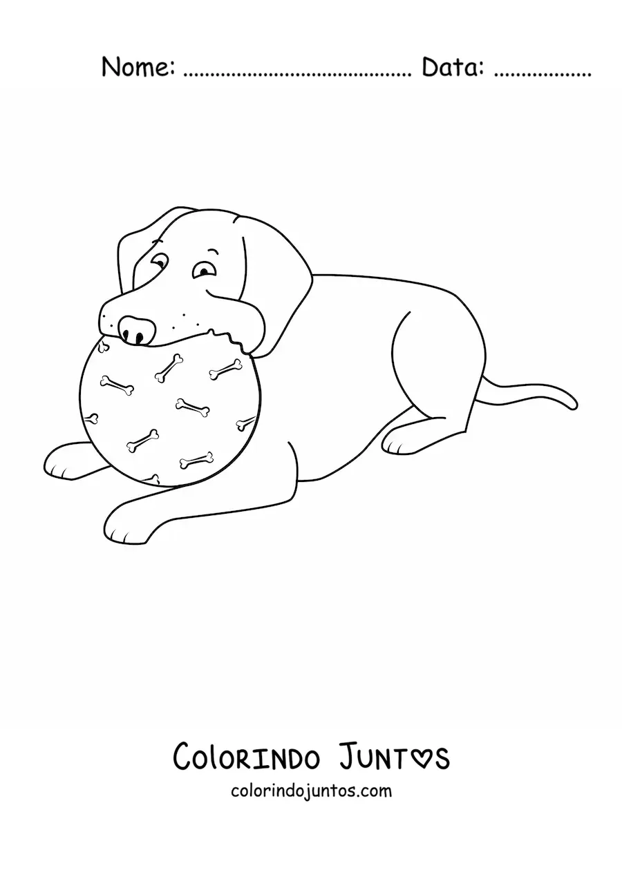 Desenho para colorir de um labrador deitado mordendo uma bola