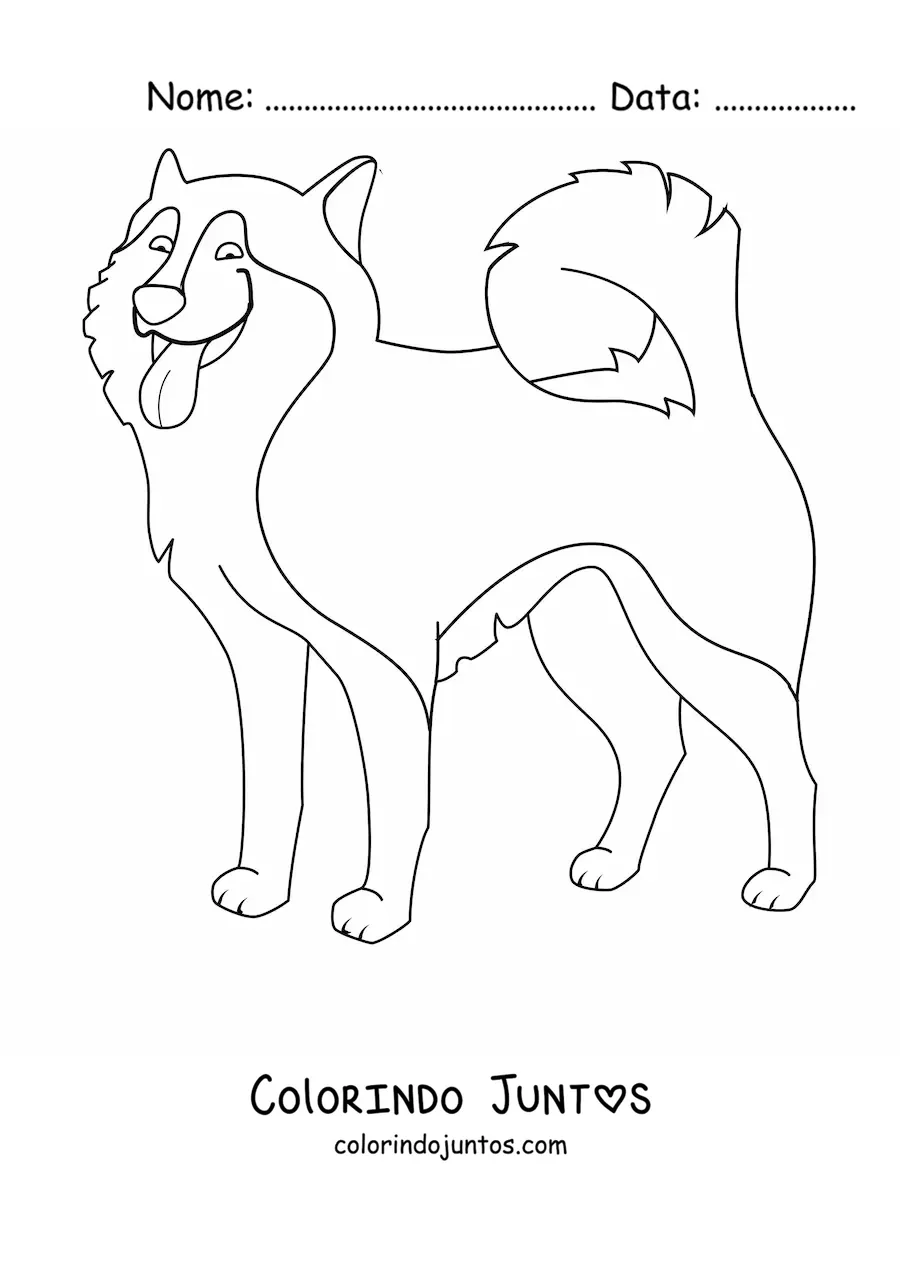 Desenho para colorir de um husky