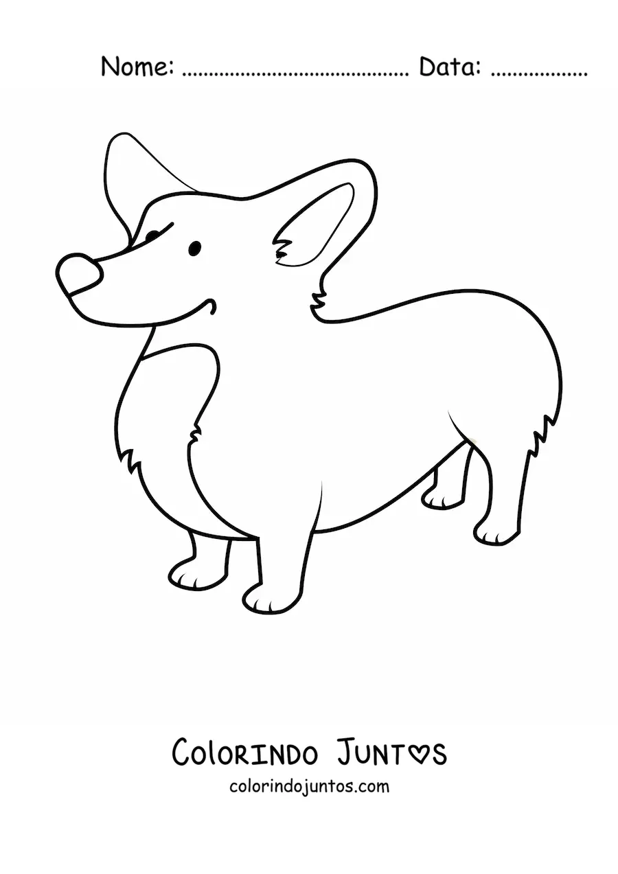 Desenho para colorir de um corgi