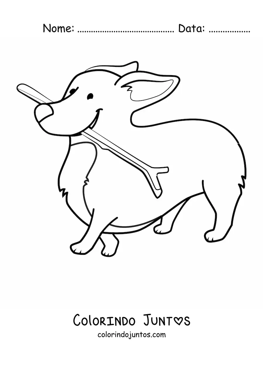 Desenho para colorir de um corgi mordendo um galho