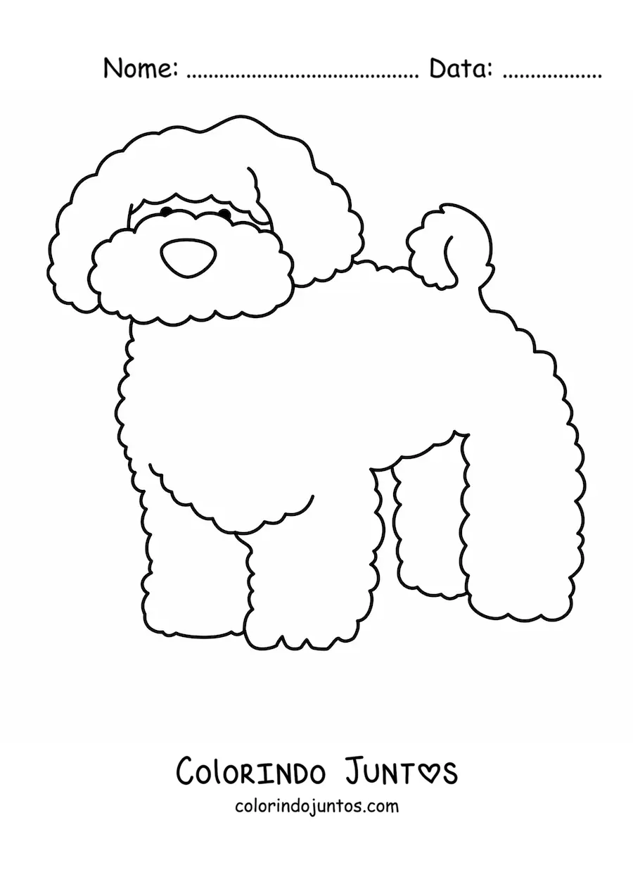 Desenho para colorir de um poodle