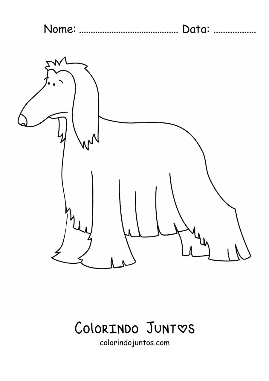 Desenho para colorir de um galgo afegão