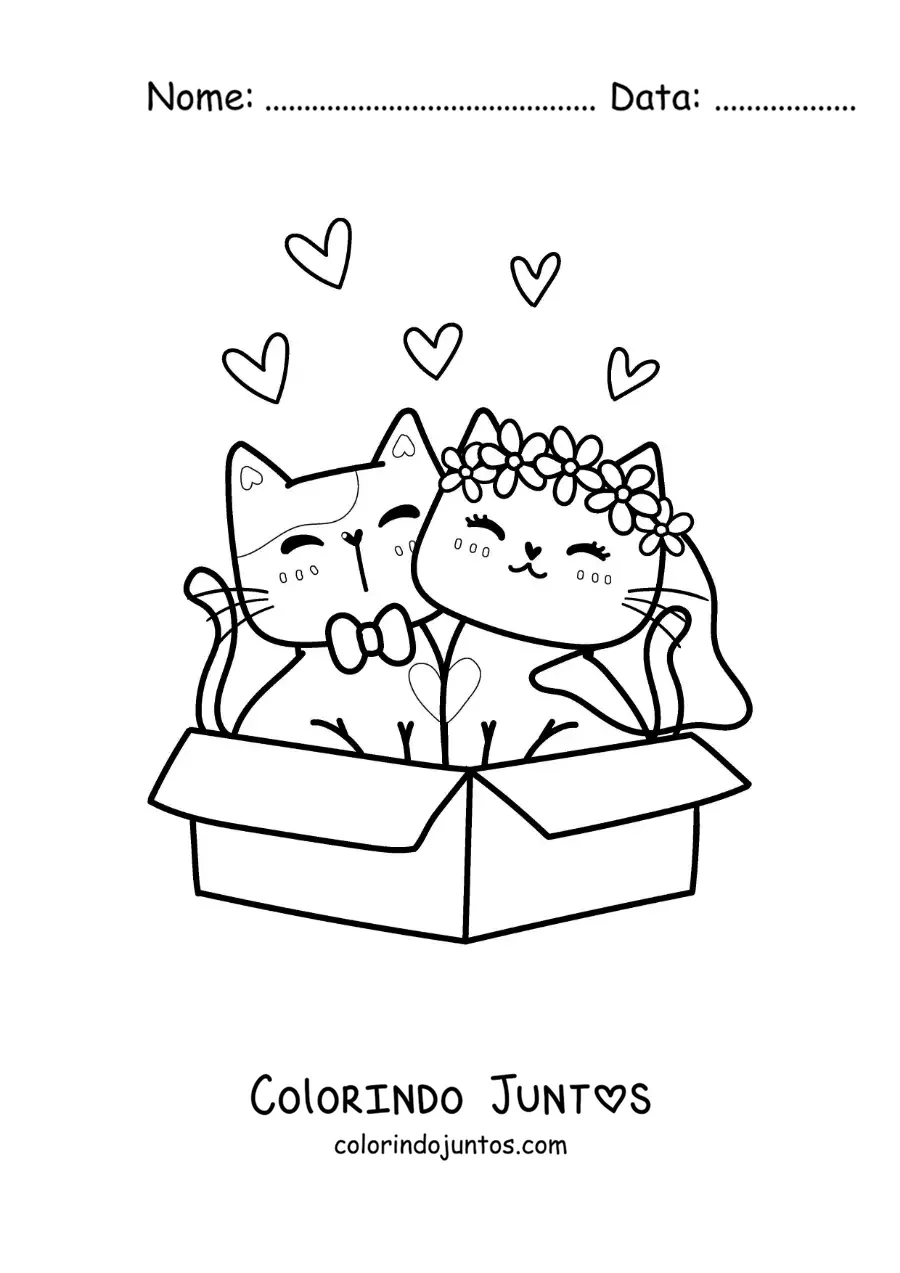 Desenho para colorir de gatinhos fofos recém-casados sentados em uma caixa