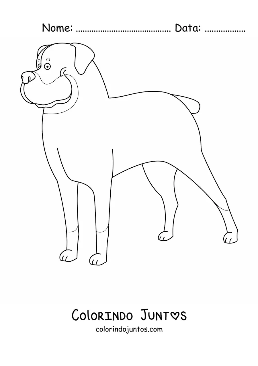Desenho para colorir de um rottweiler