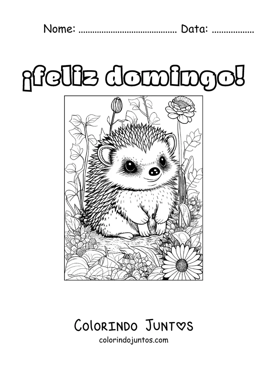 Desenho para colorir de feliz domingo com um porco-espinho fofo