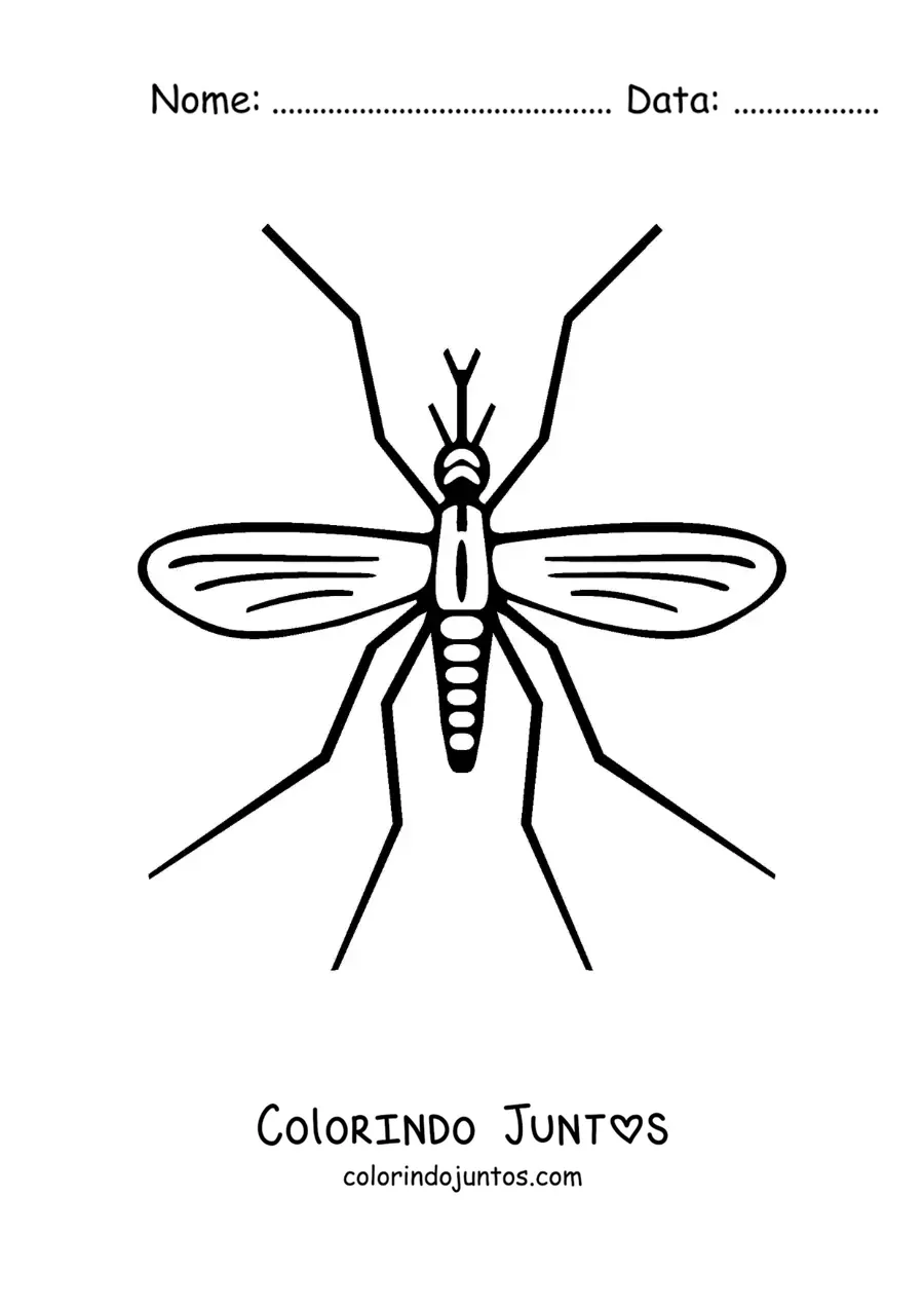 Desenho para colorir de um mosquito da dengue