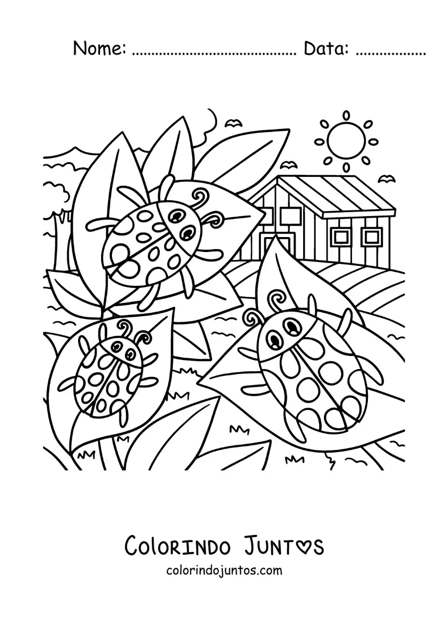Desenho para colorir de joaninhas animadas em um jardim