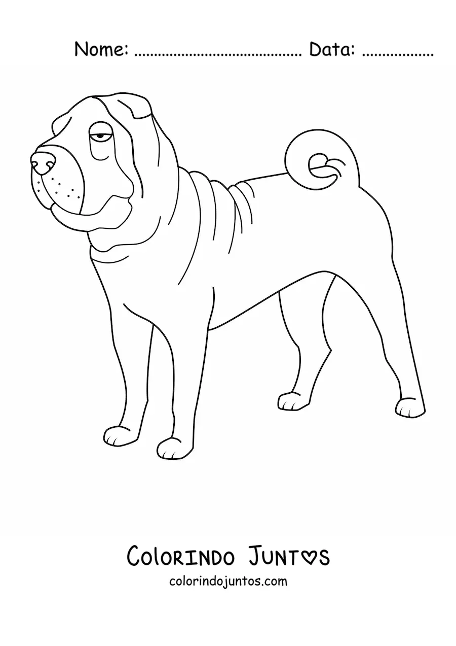 Desenho para colorir de um shar pei
