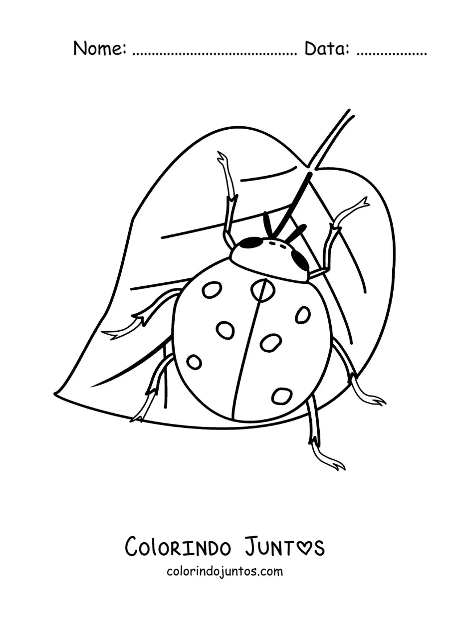 Desenho para colorir de uma joaninha realista em uma folha