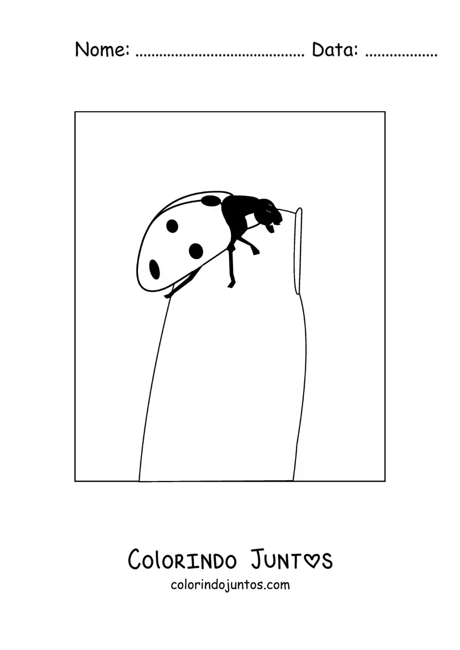 Desenho para colorir de uma joaninha em uma unha