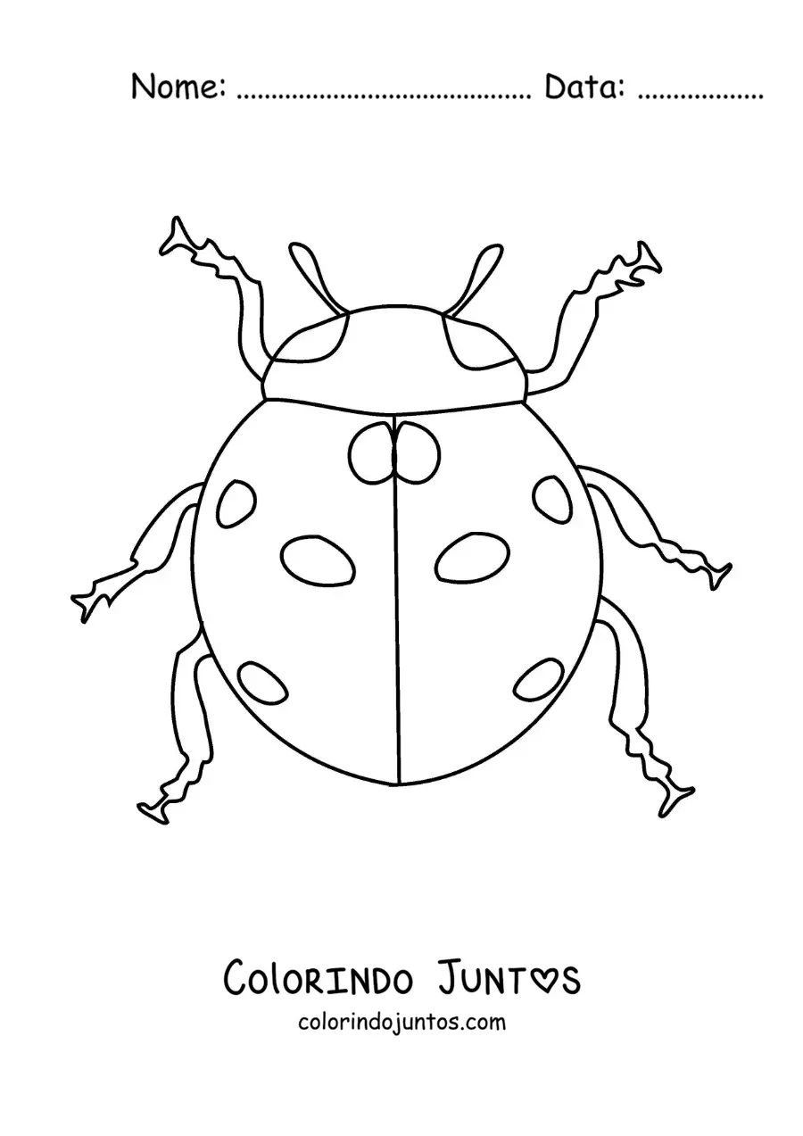 Desenho para colorir de uma joaninha realista