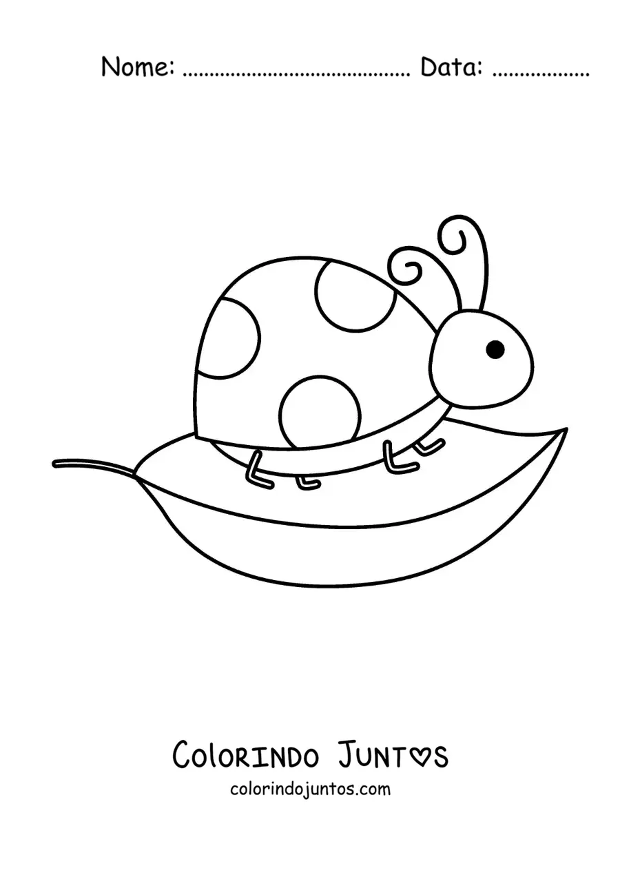 Desenho para colorir de uma joaninha animada em uma folha