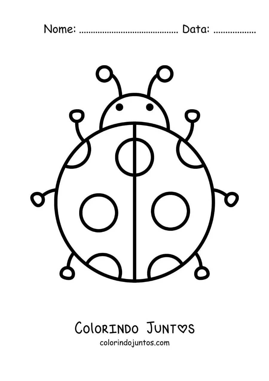 Desenho para colorir de uma joaninha grande