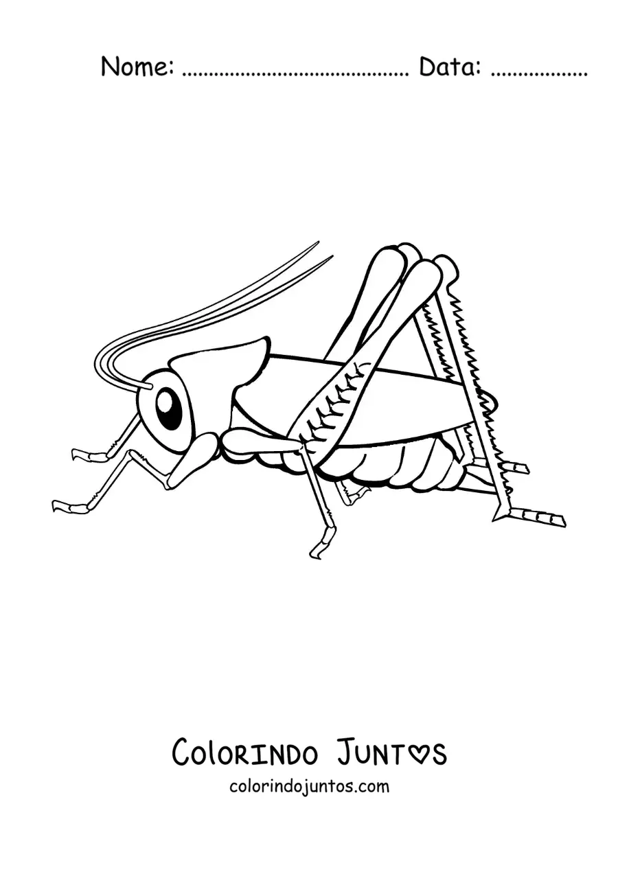 Desenho para colorir de um grilo grande