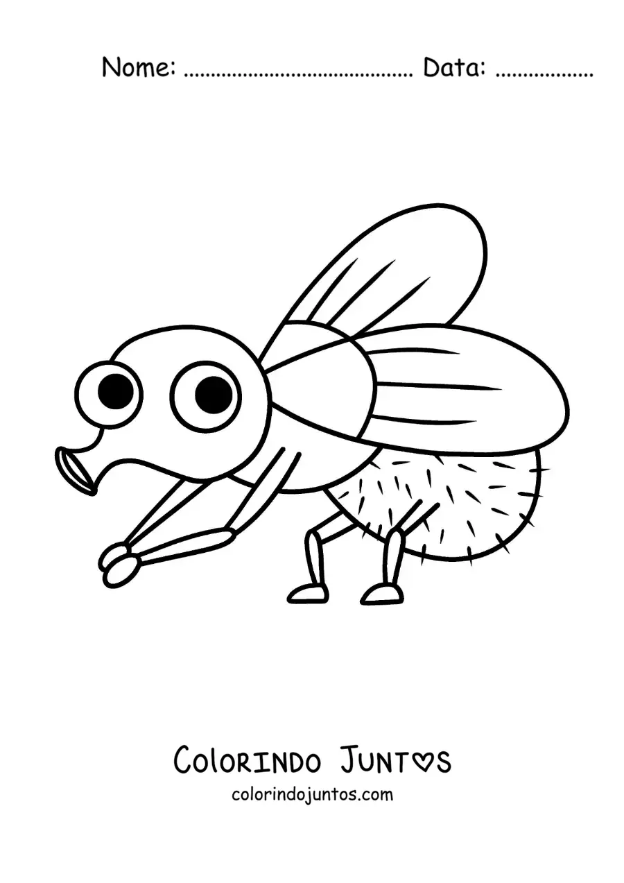 Desenho para colorir de uma mosca animada engraçada limpando as patas