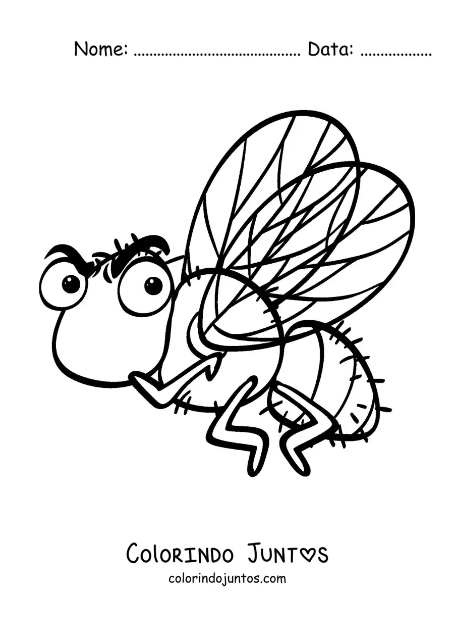 Desenho para colorir de uma mosca doméstica animada irritada