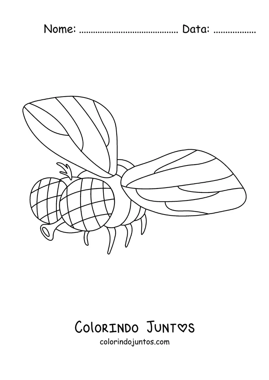 Desenho para colorir de uma mosca doméstica voando