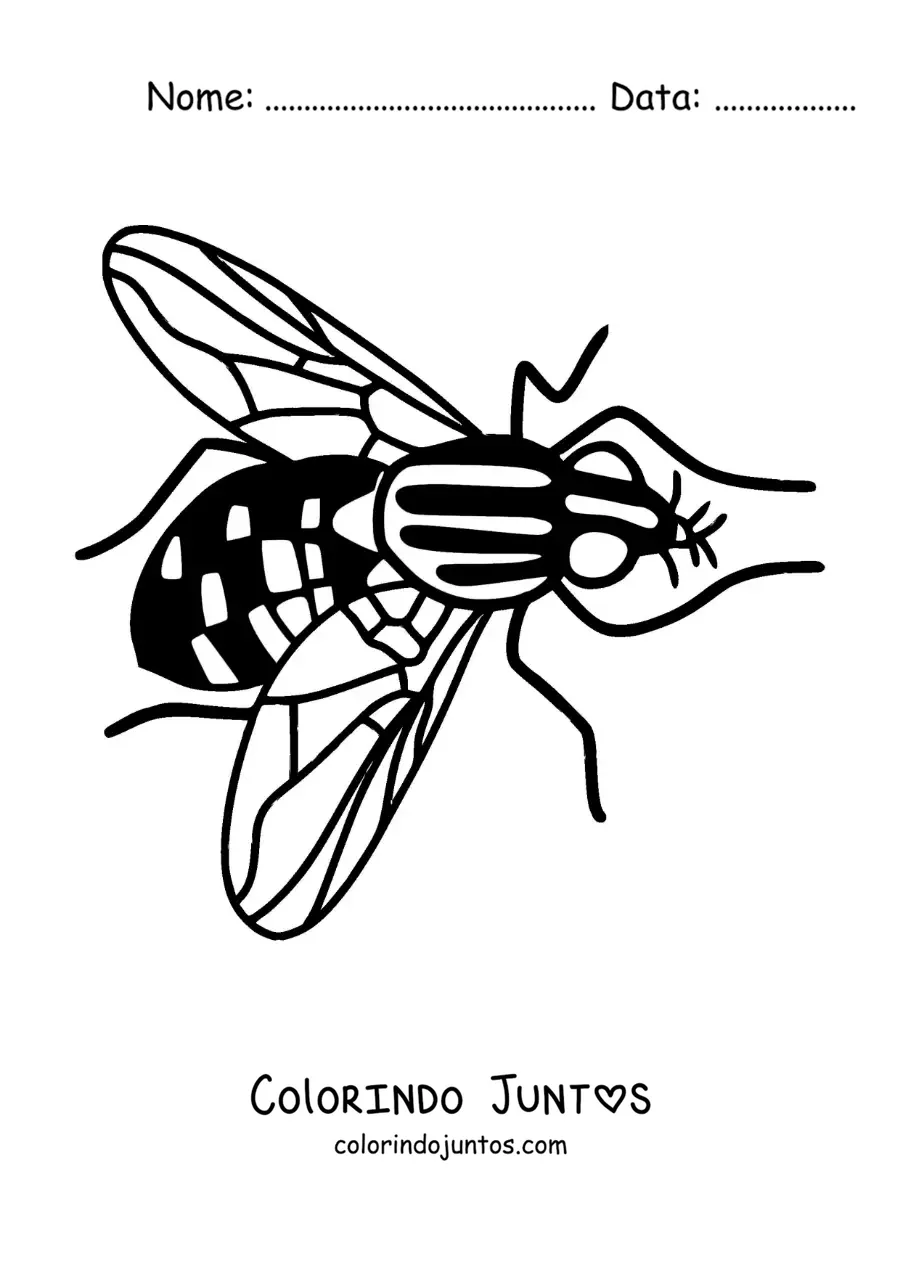 Desenho para colorir de uma mosca grande