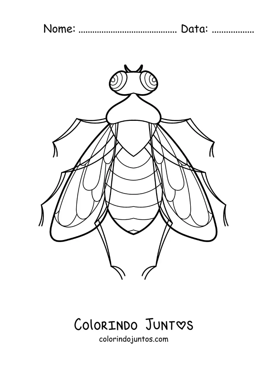 Desenho para colorir de uma mosca realista