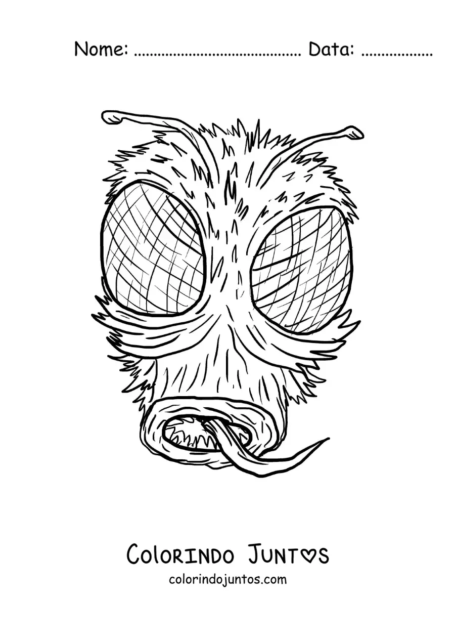 Desenho para colorir do rosto de uma mosca assustadora