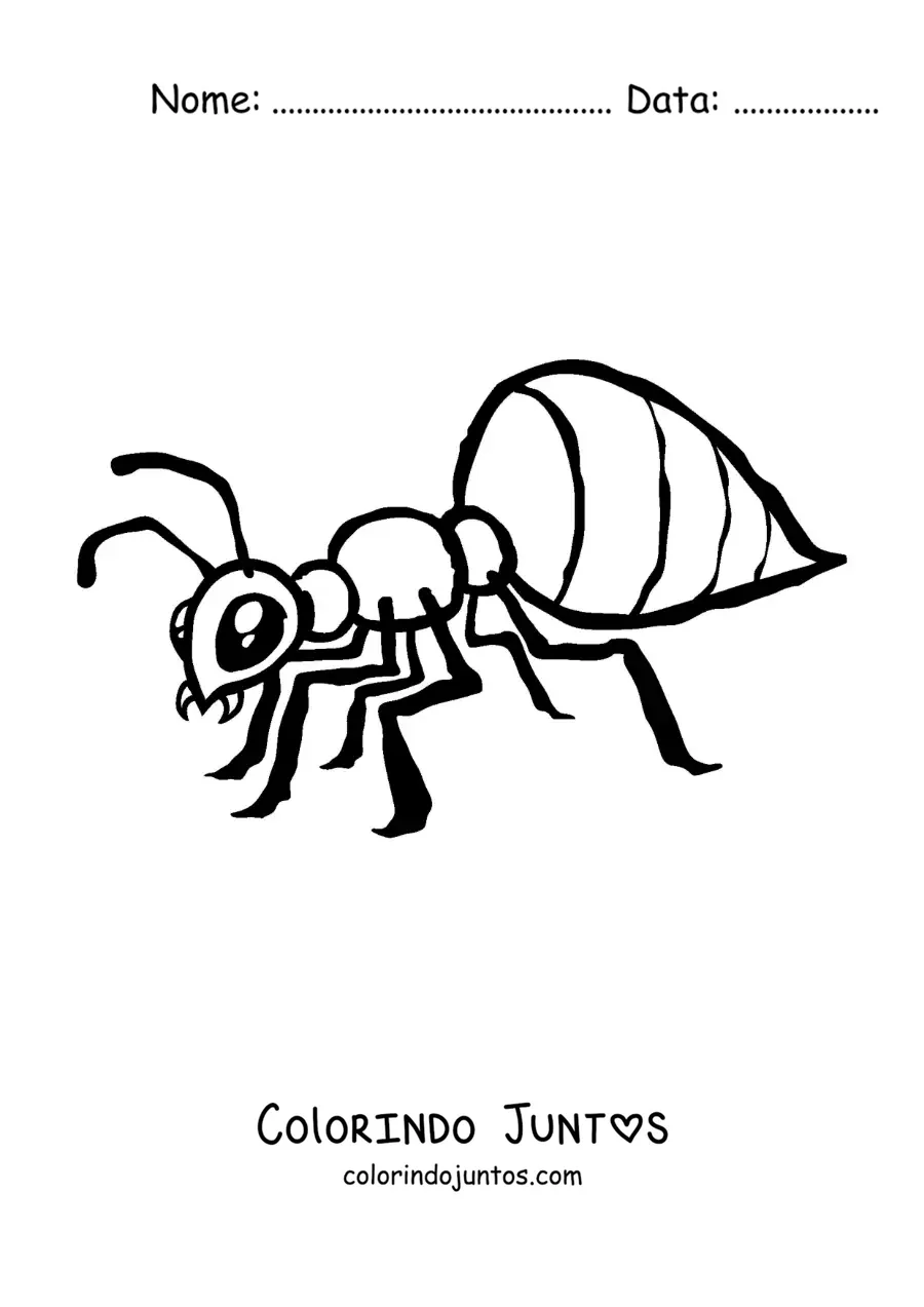 Desenho para colorir de uma formiga fácil