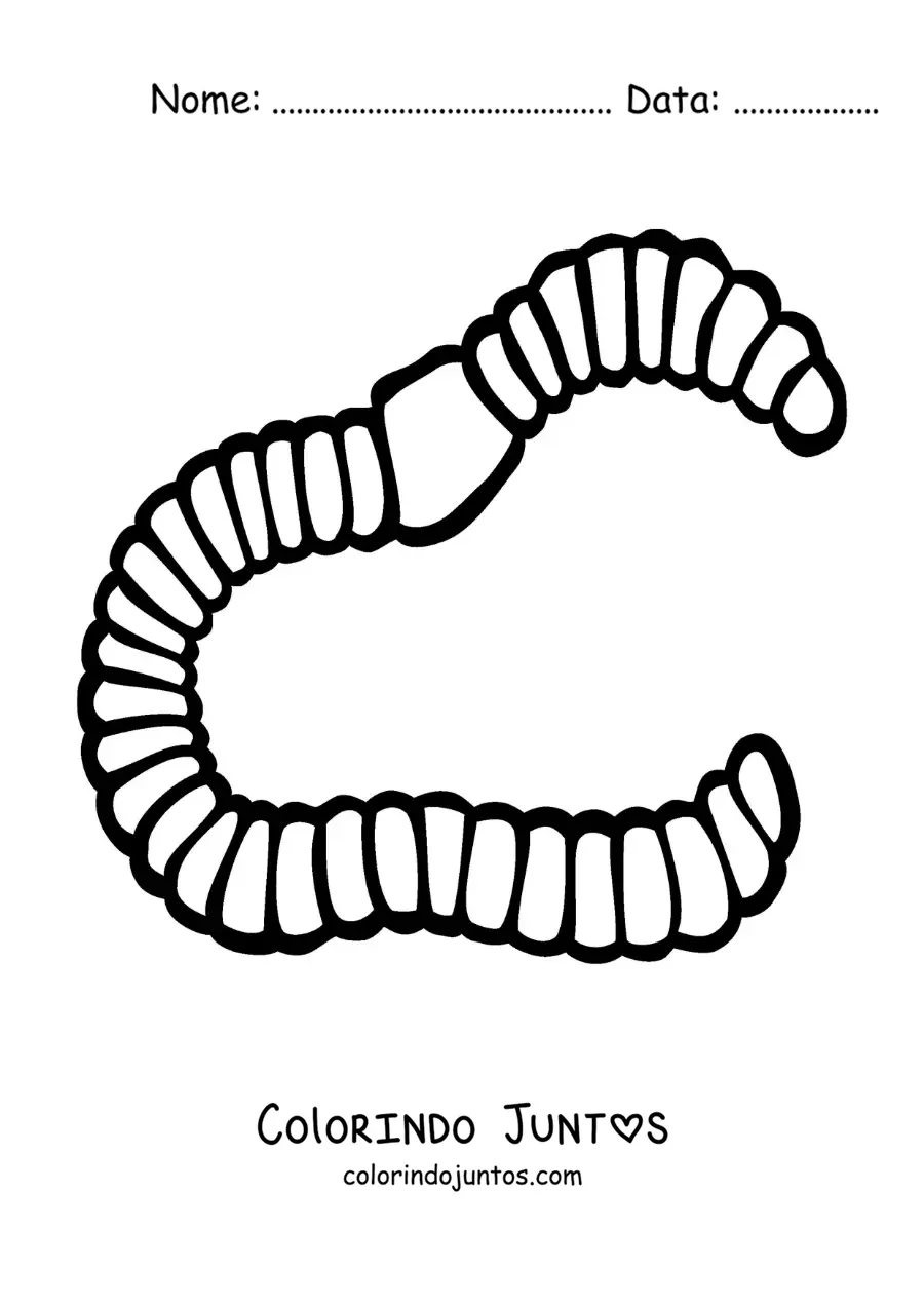 Desenho para colorir de anelídeo realista